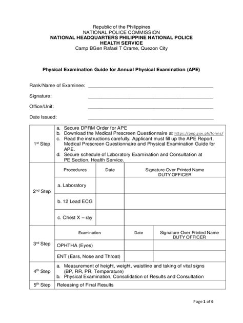 pnp ape form|pnp ape form download.